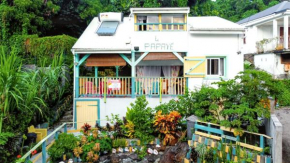 Charmante maison avec jardin clos à Trois-Rivières.